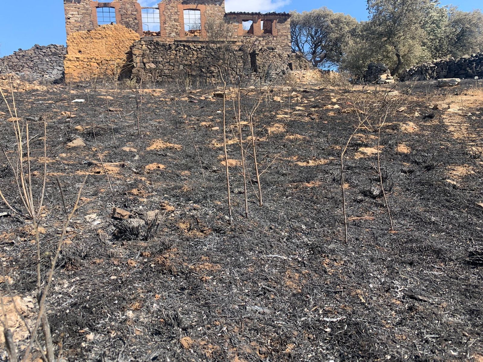 tras-el-horror-la-deslacion-en-zamora-foto-rafael-lorenzo-38