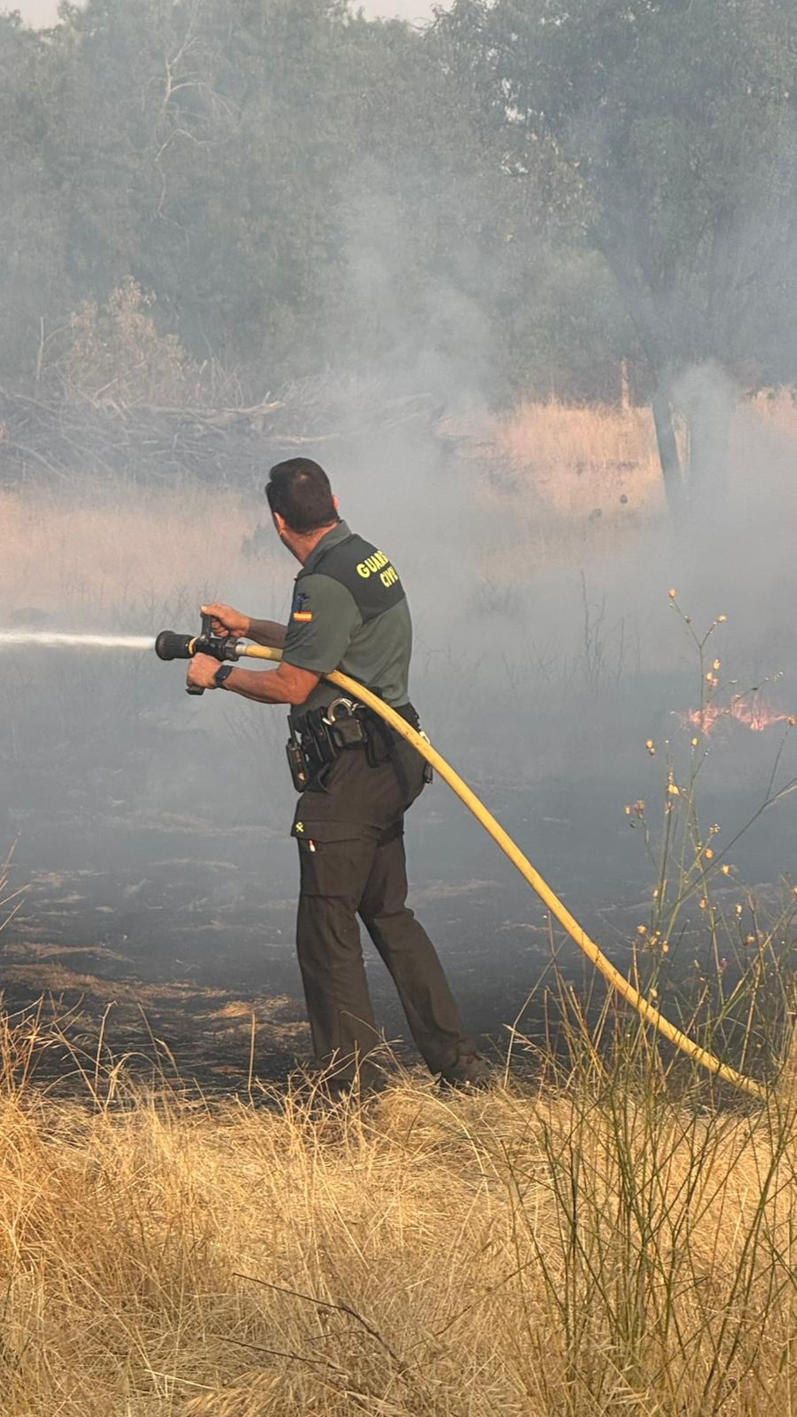 Incendio en Cabrerizos