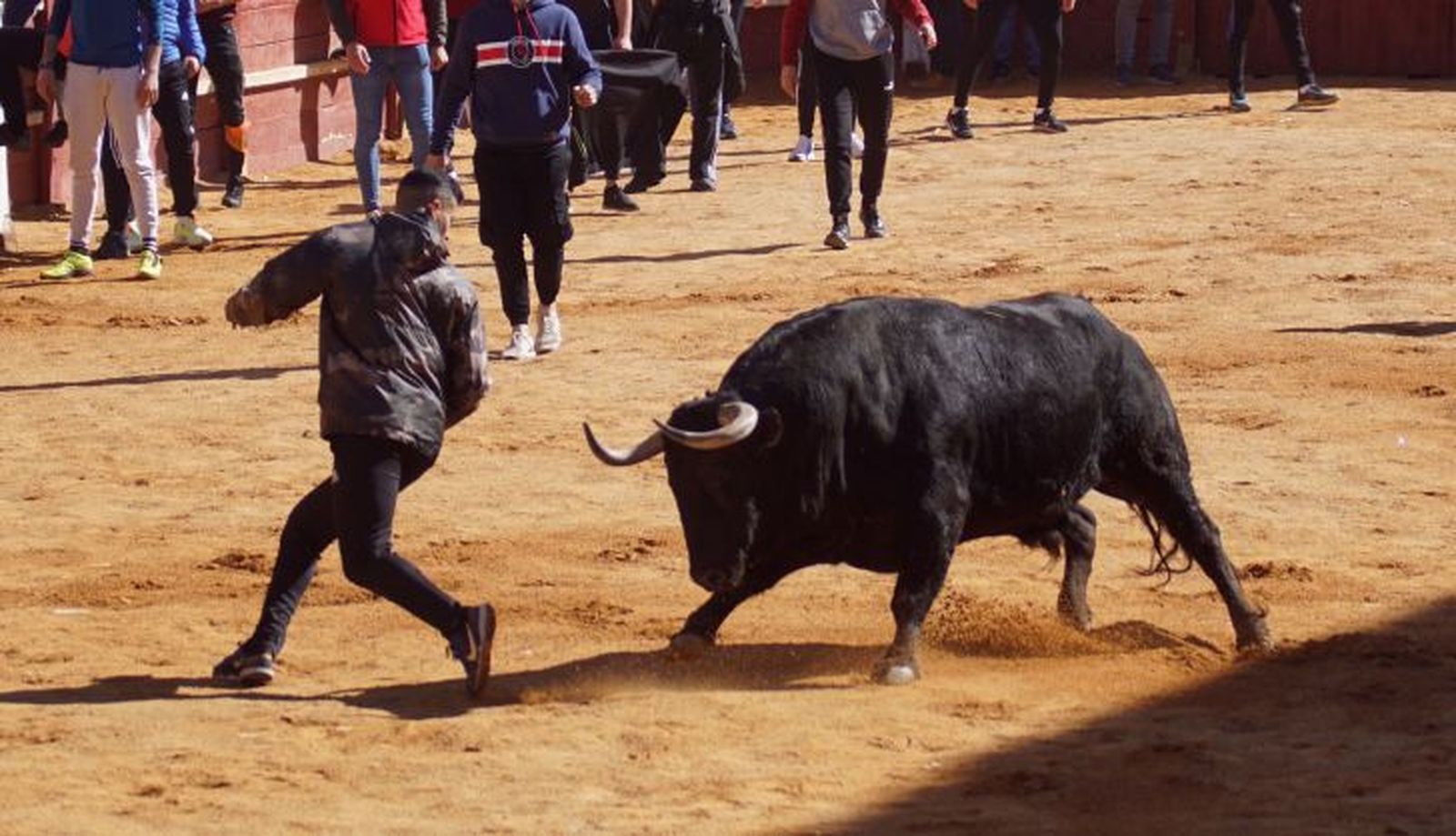 Encierro, capea y ambiente en Ciudad Rodrigo en este lunes de carnaval (63)