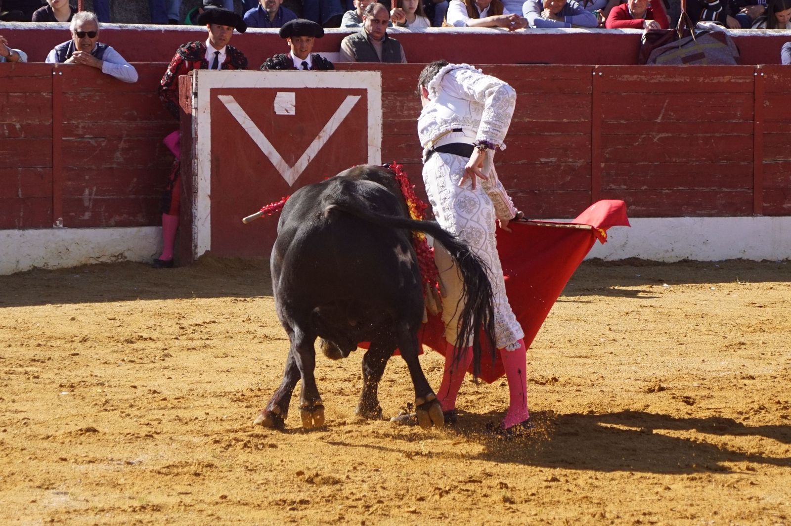 novillada-con-picadores-en-villoria-37