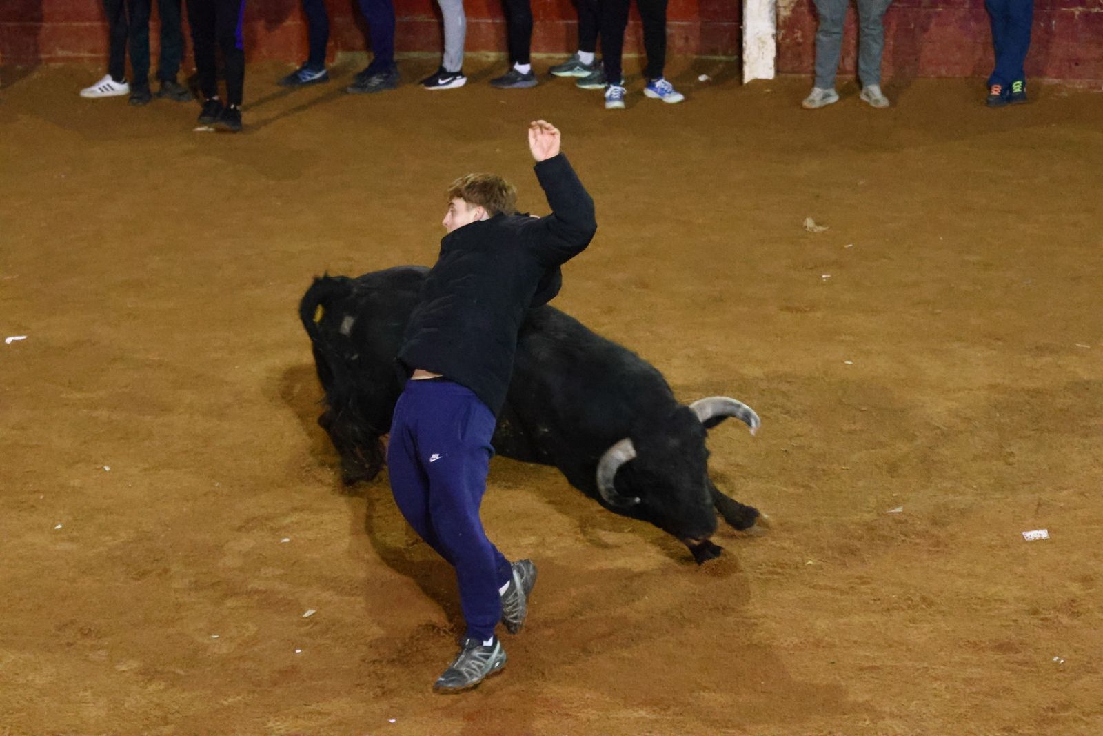 Capea nocturna de lunes en el Carnaval del Toro 2026
