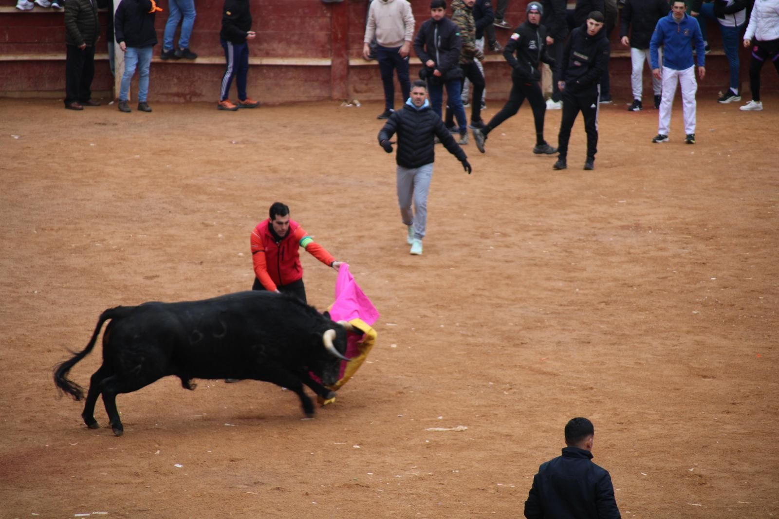 Encierro a Caballo en el Carnaval del Toro 2026 de Ciudad Rodrigo