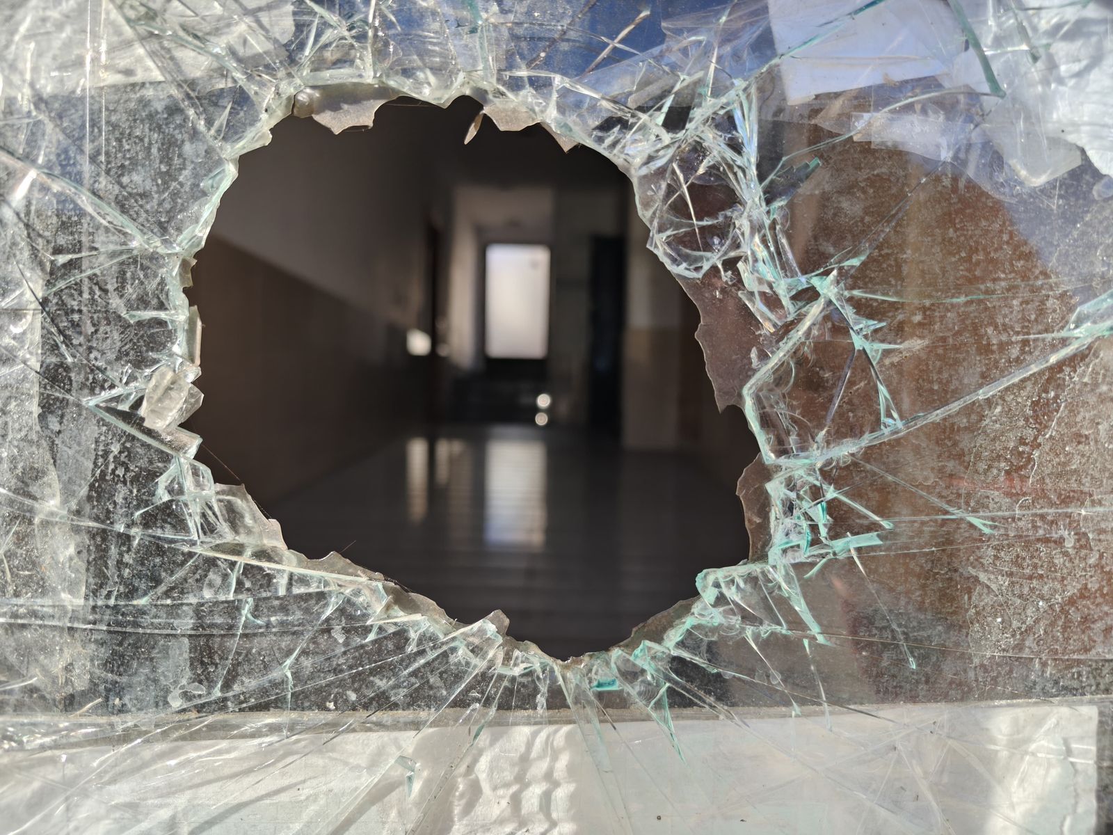 imagen-de-whatsapp-2024-12-23-a-las-12-43-45-8122f21d