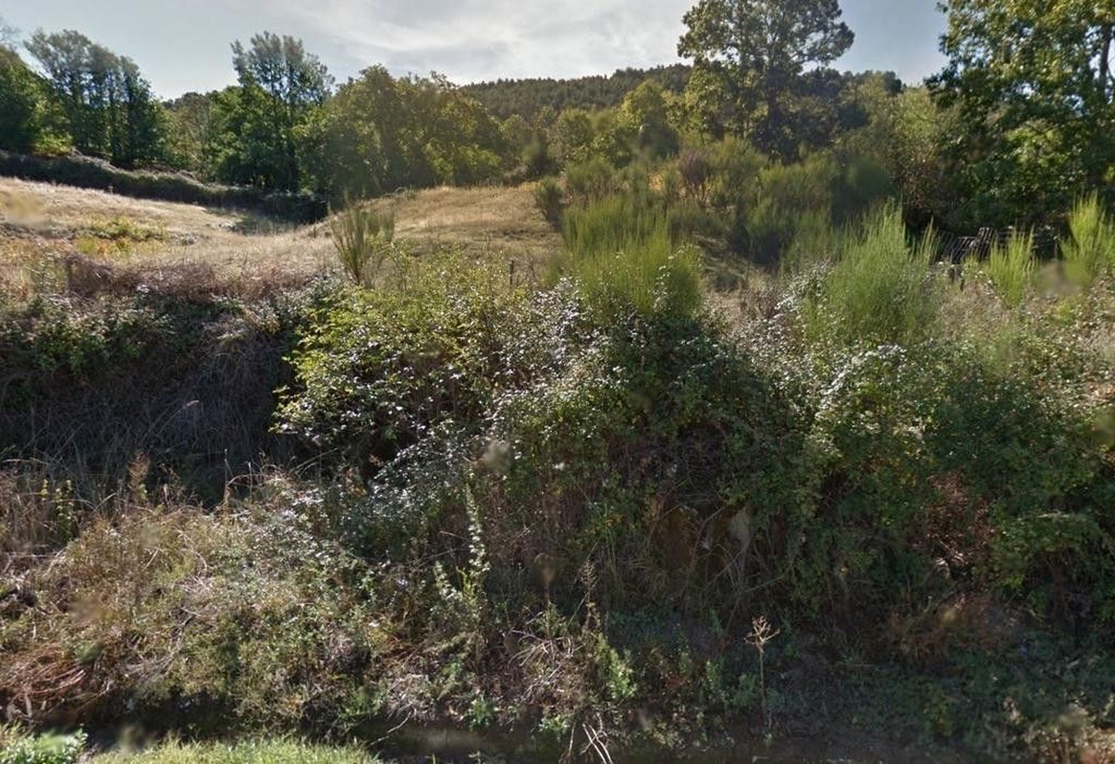 Arranca el plazo para poder optar al aprovechamiento forestal de varios Montes de Utilidad Pública del entorno