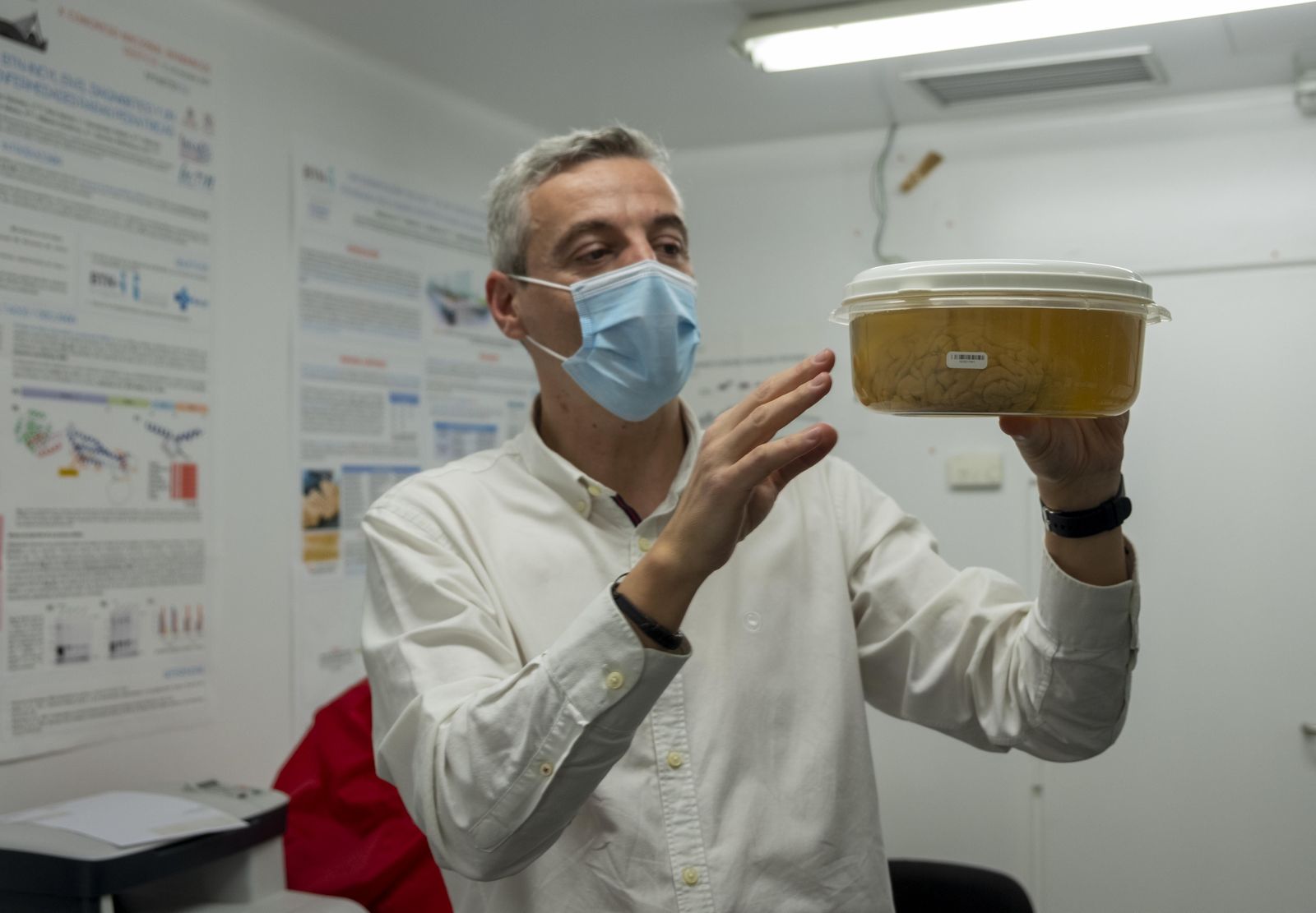 El banco de cerebros de Castilla y León está ubicado en el Incyl, en la universidad de Salamanca. Javier Herrero es el científico que lo dirige y se ocupa de su gestión. Foto ICAL (1)