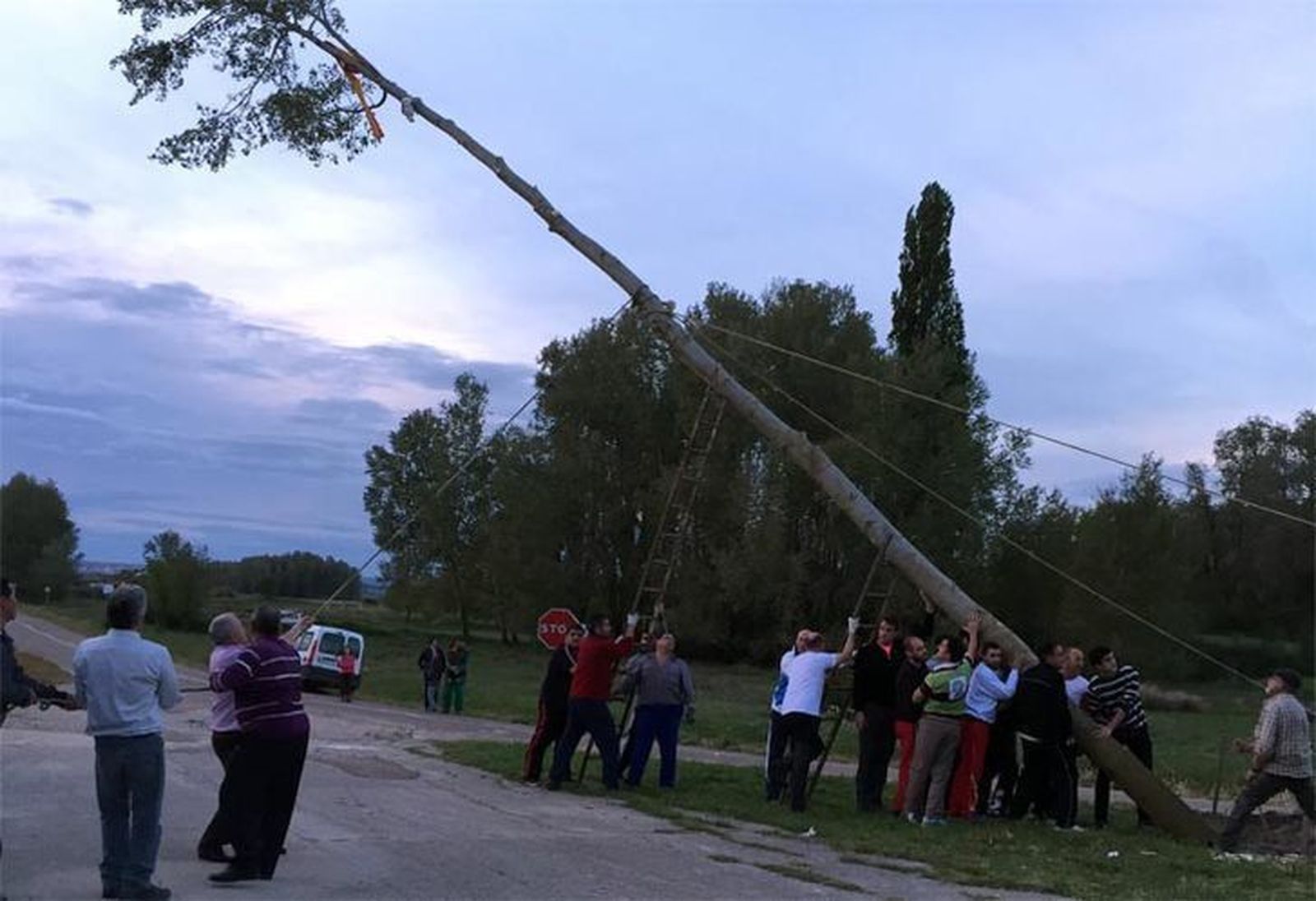 Las plazas y las entradas de los municipios zamoranos empiezan a lucir sus “mayos”