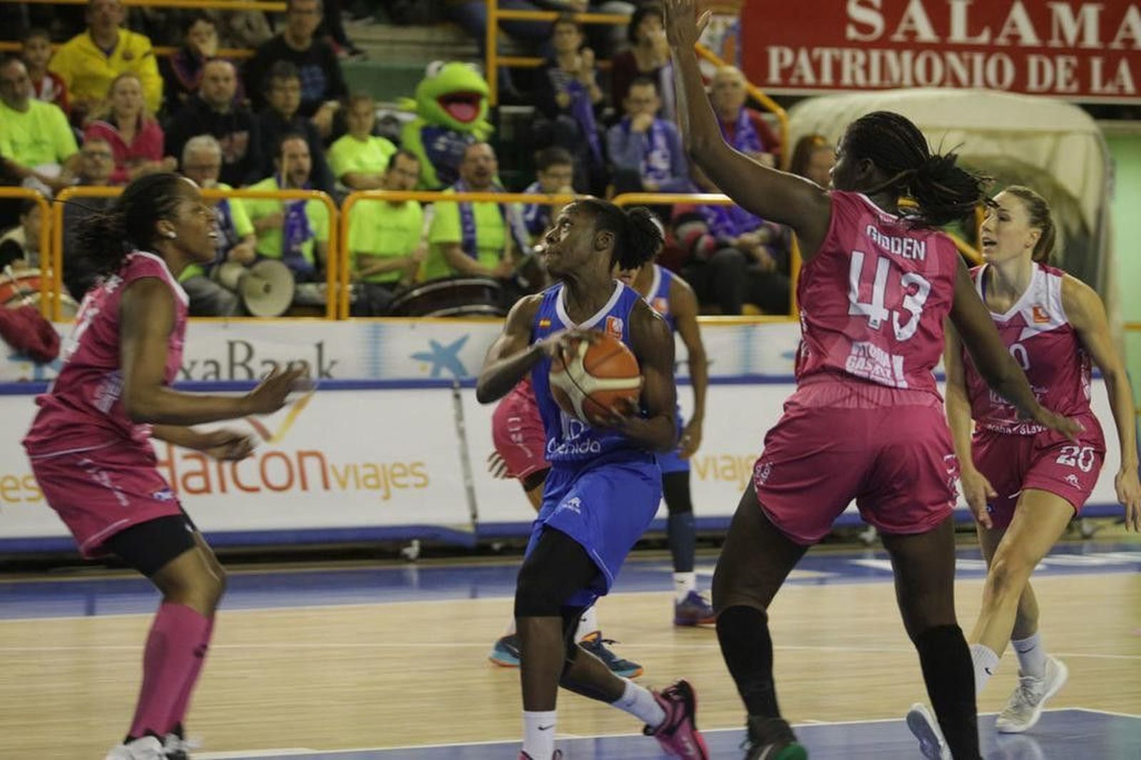 Las semifinales y la final, en el ‘prime time’ de Teledeporte