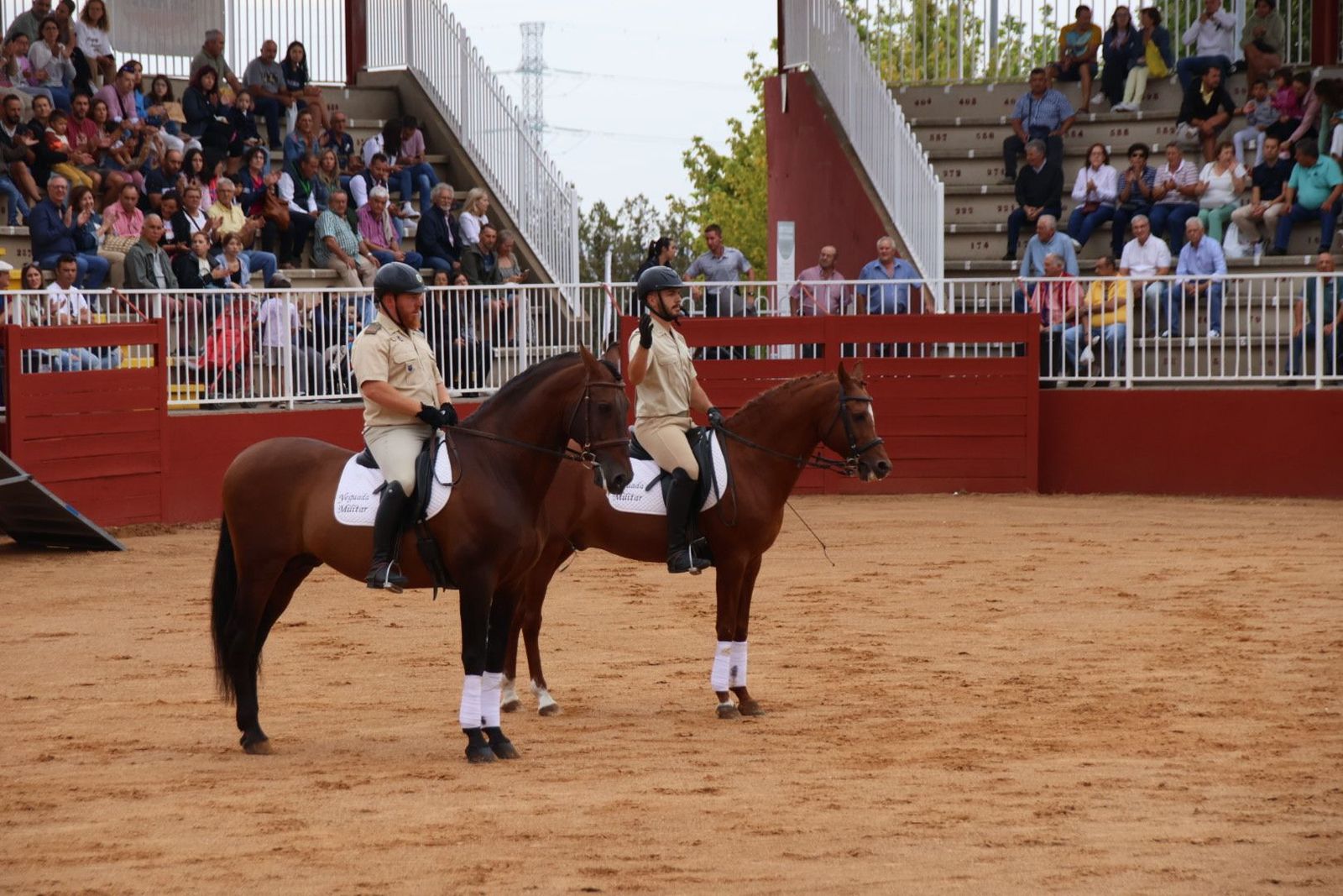 20230902111505-img-7061