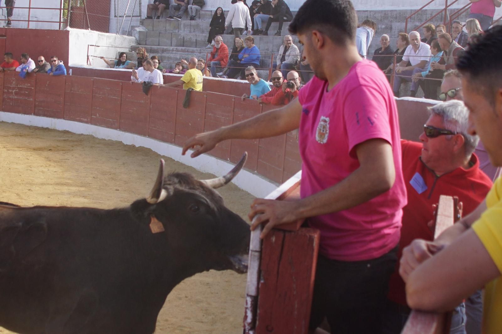 whatsapp-image-2024-09-08-at-14-05-21-8