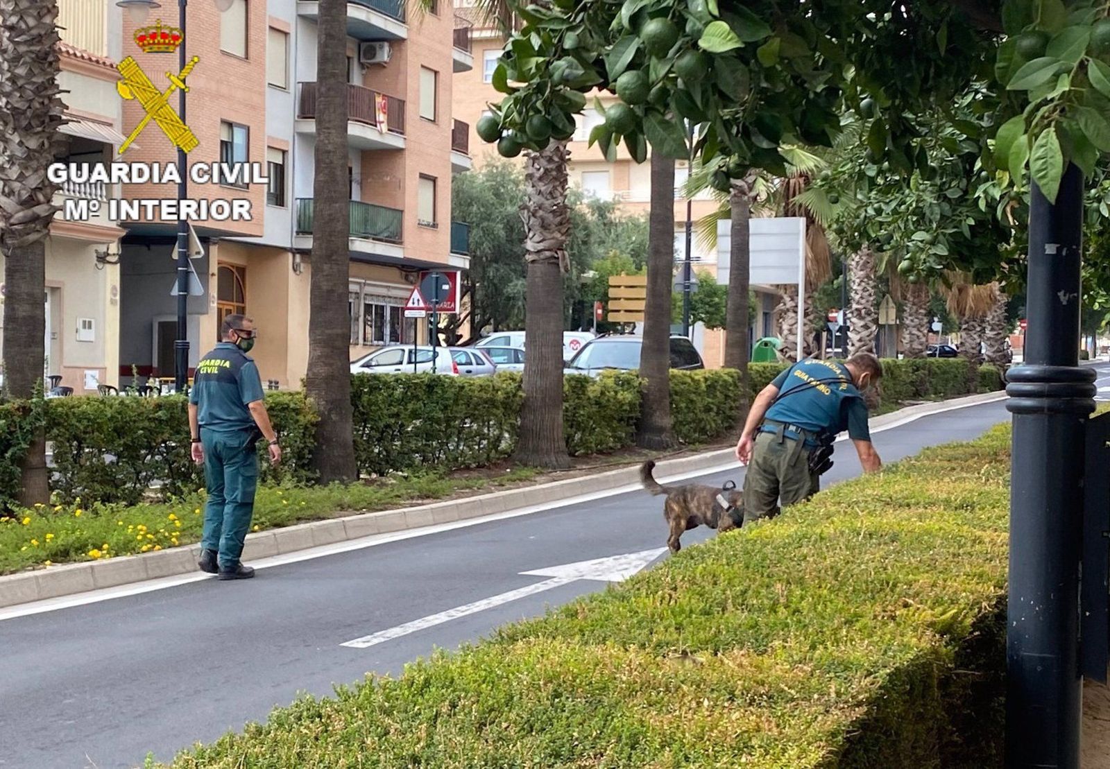 Agentes de la Guardia Civil con canes | FOTO OPC
