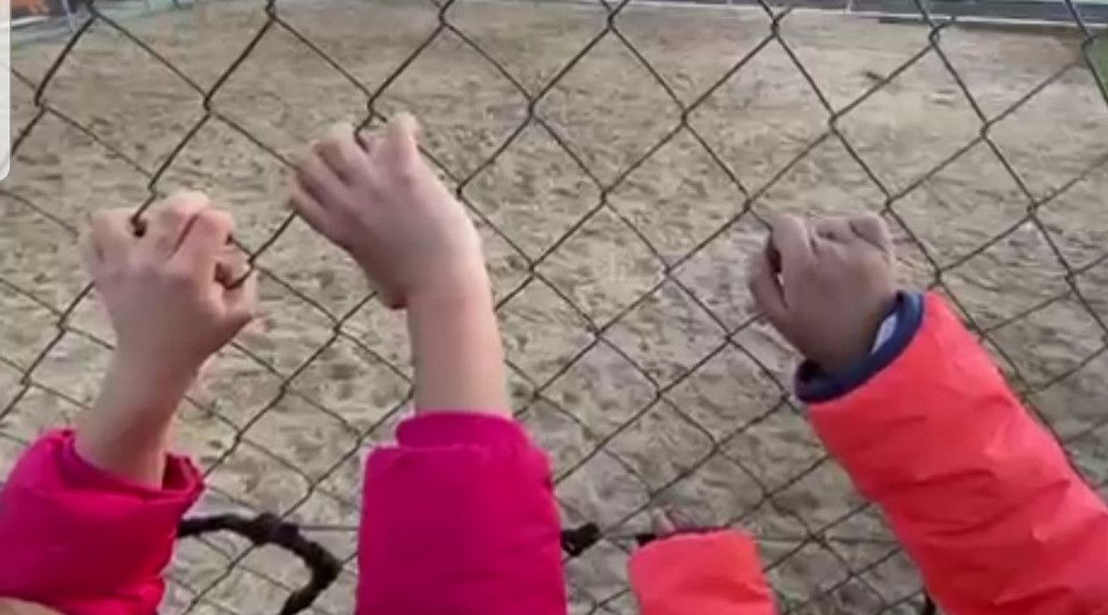 2CRA LOS ARAPILES ALDEATEJADA