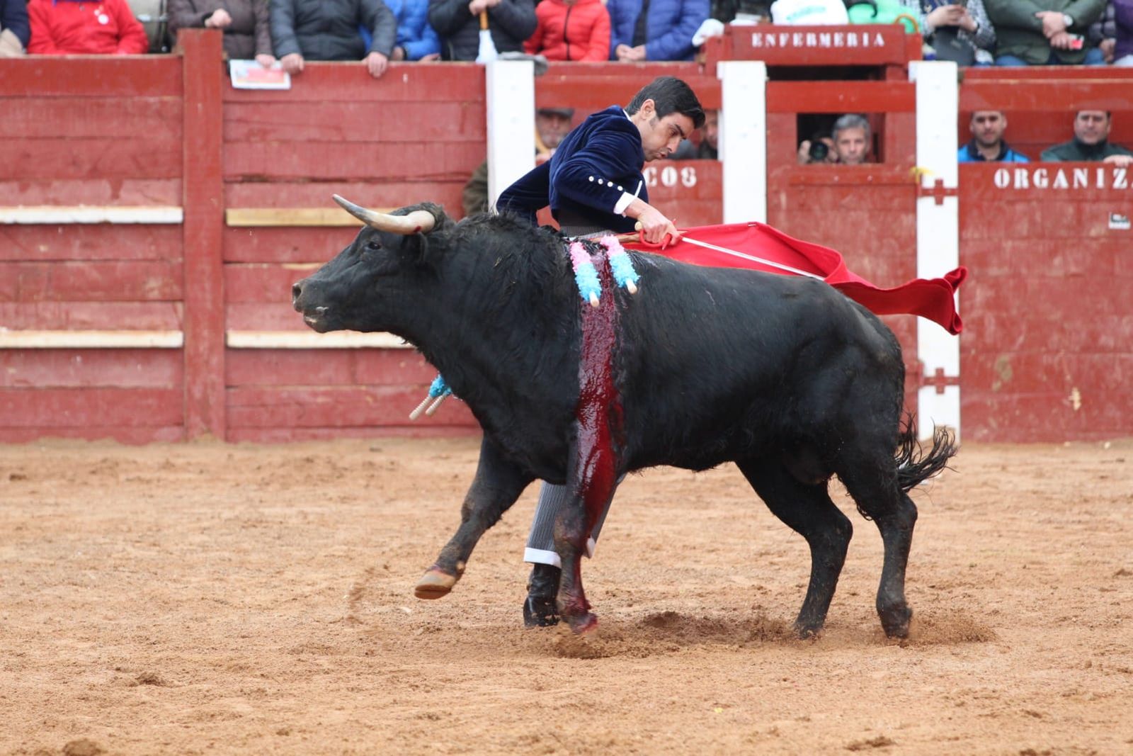 Festival taurino con picadores Cayetano Rivera, Perera y Ureña