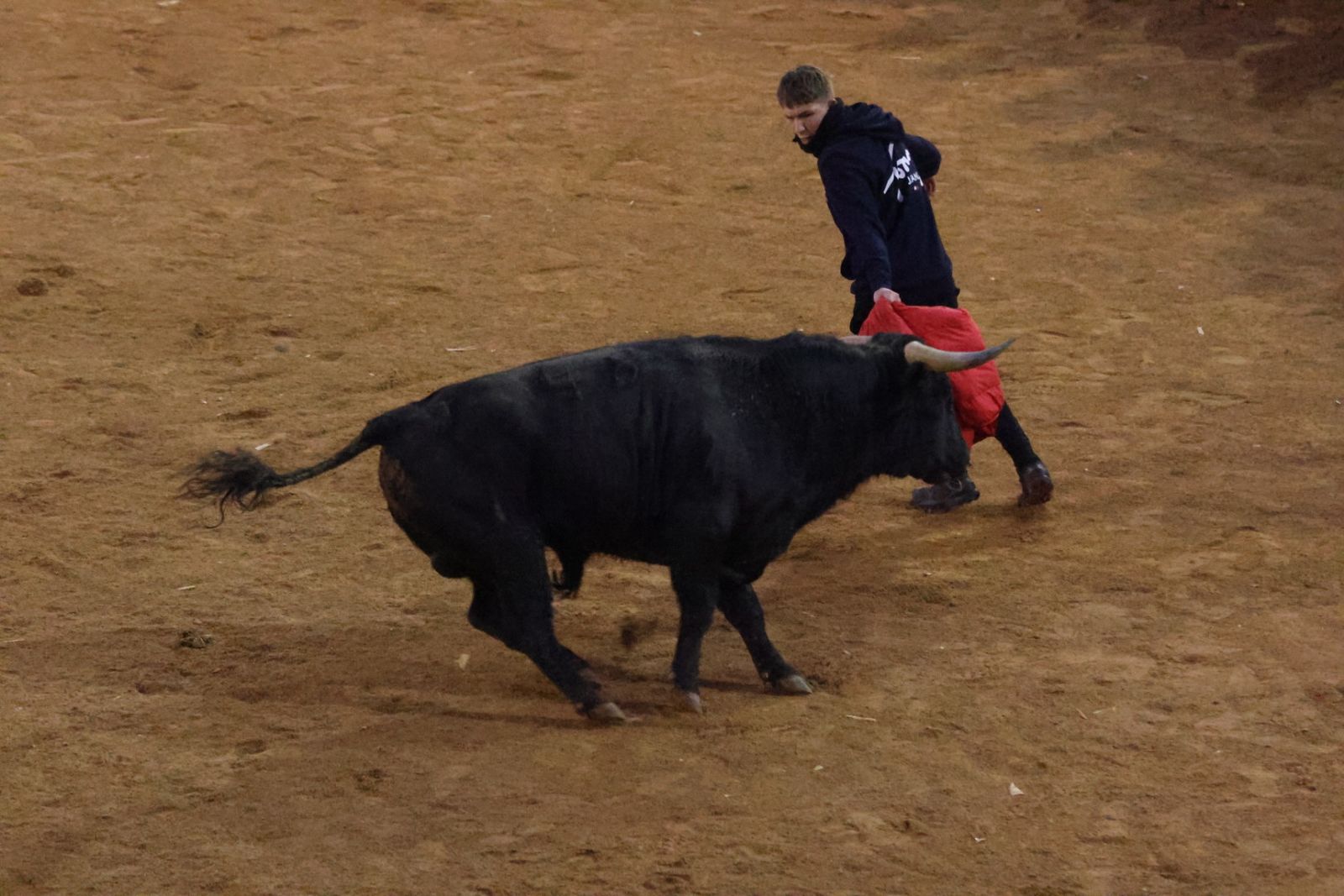 Capea y desencierro de domingo tarde en el Carnaval del Toro 2026