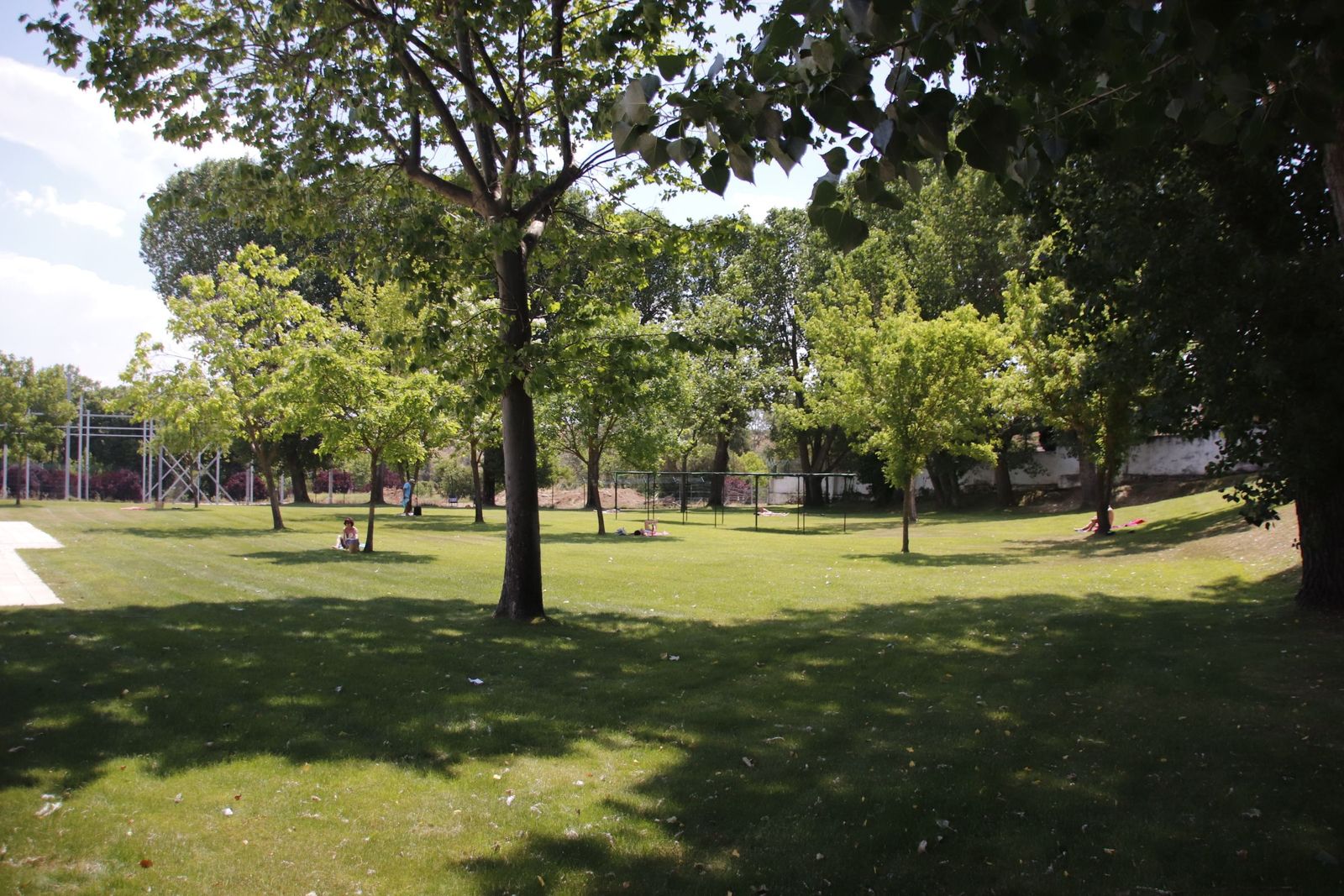 20220611121130-mg-3451