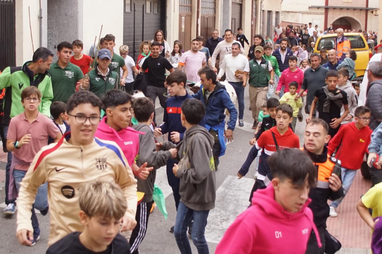 Alba de Tormes celebra un encierro, capea y encierro de minibueyes