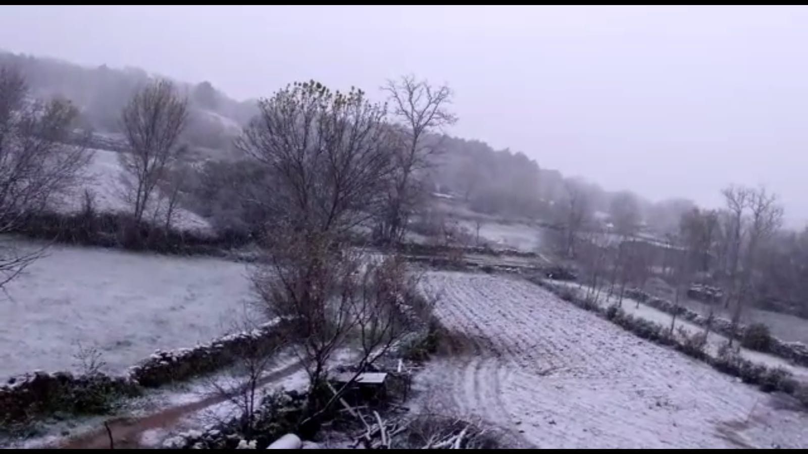 PHOTO 2019 04 24 08 43 35