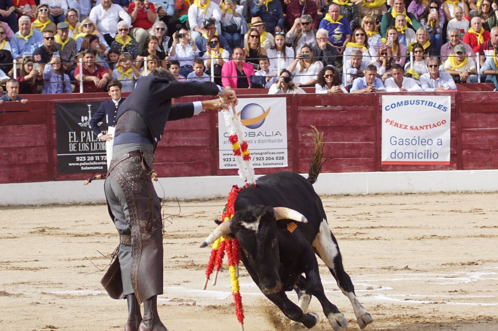 whatsapp-image-2024-10-05-at-19-57-43