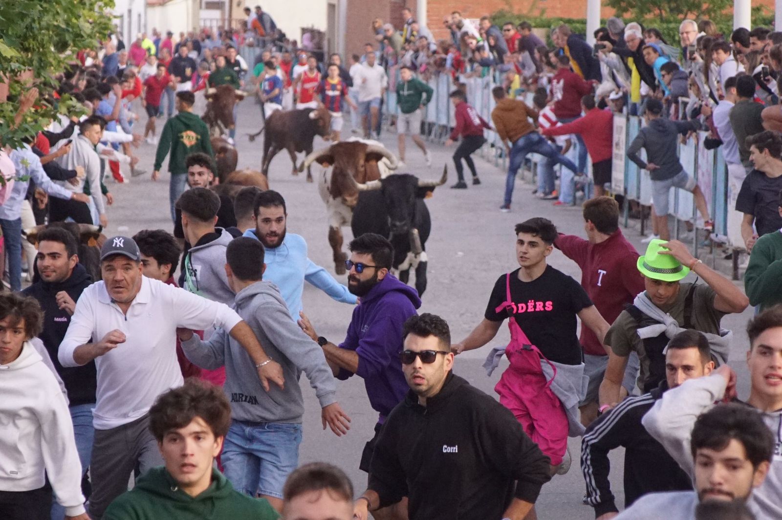 f4873fa7-94f3-461e-97ec-b7da6ba7ea59