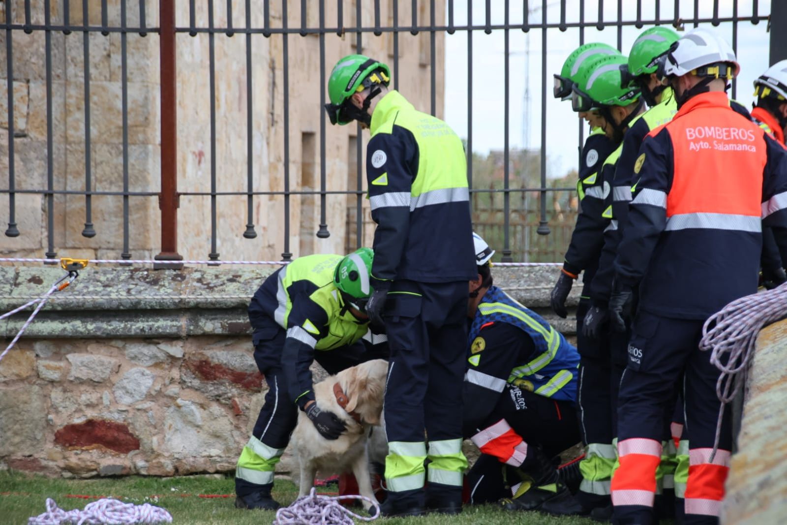 los-bomberos-rescatan-a-un-perro-en-el-jardin-botanico-de-salamanca-fotos-andrea-m-15