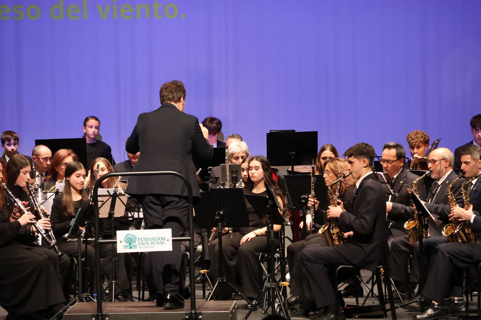 Concierto contra la Violencia de Género en el Ramos Carrión.JPG