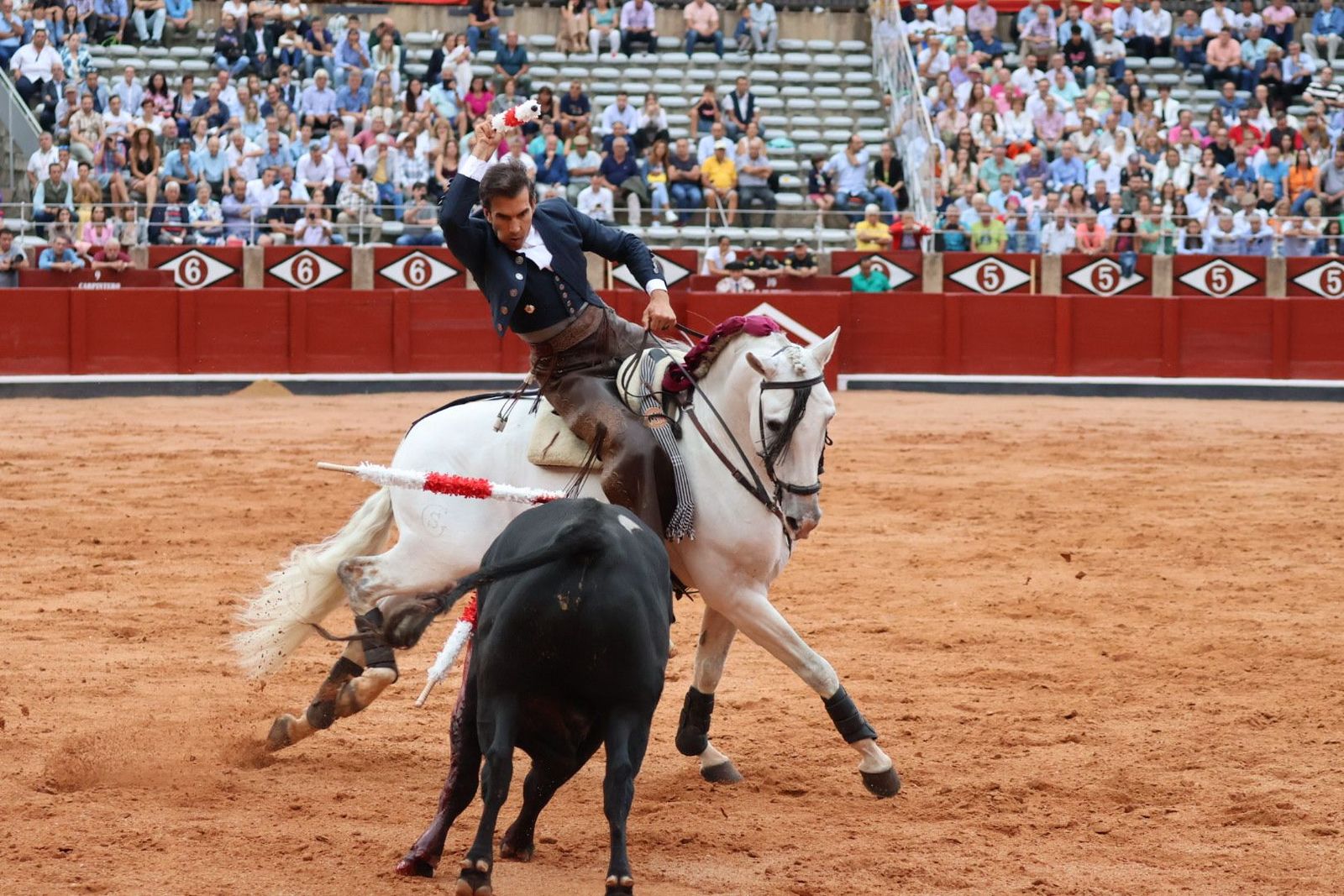 20230909184126-img-0715