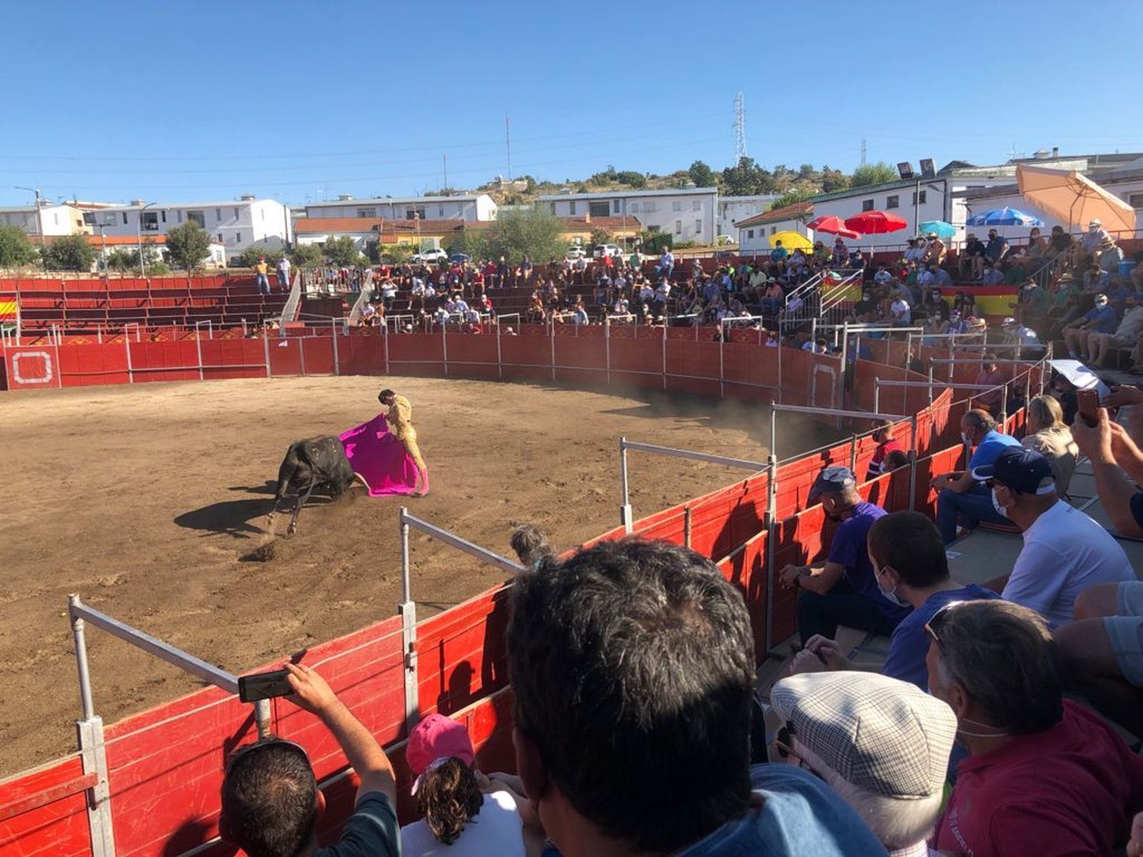 whatsapp-image-2021-08-18-at-18-56-12-1