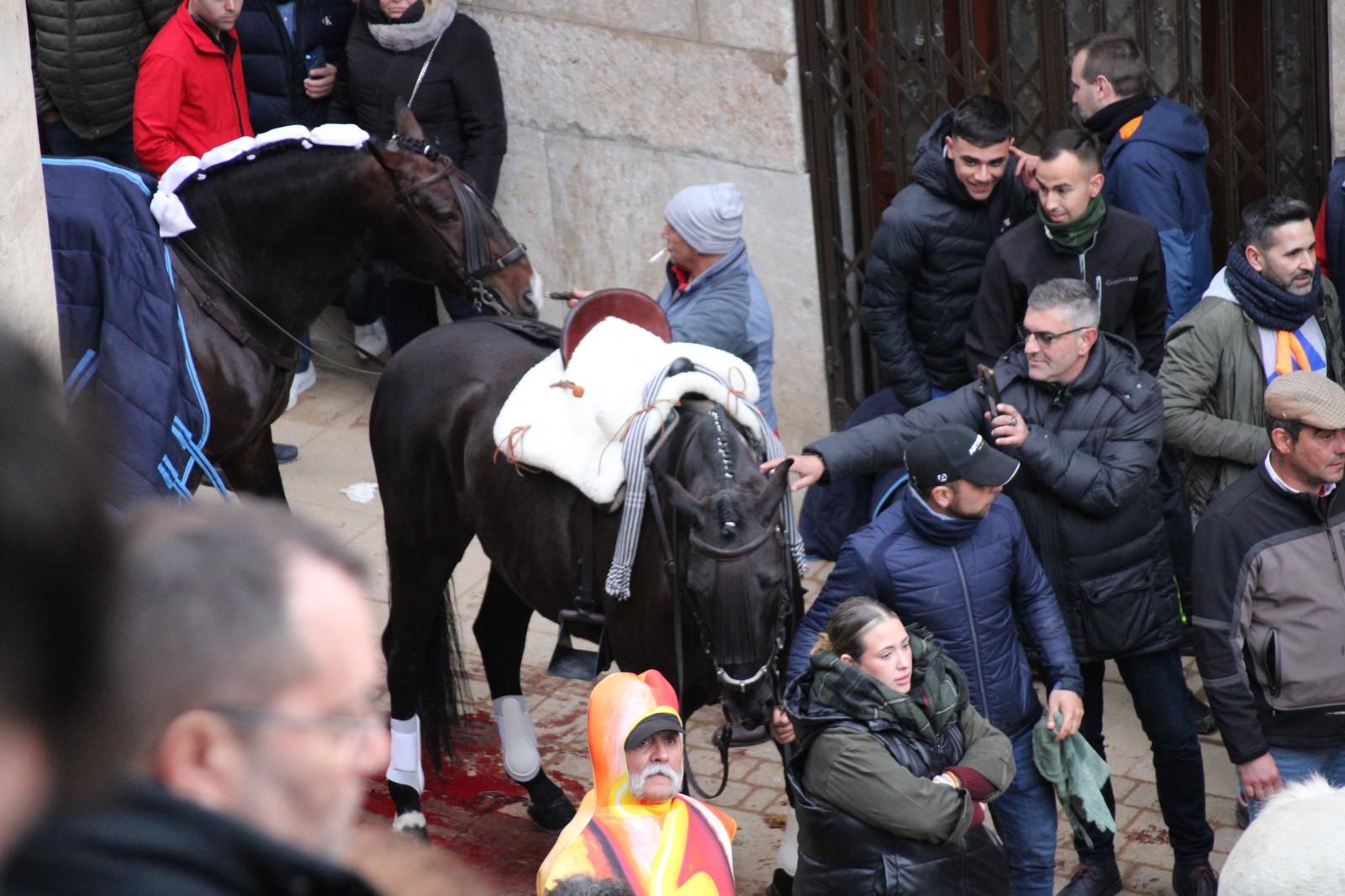 whatsapp-image-2025-03-02-at-18-55-43