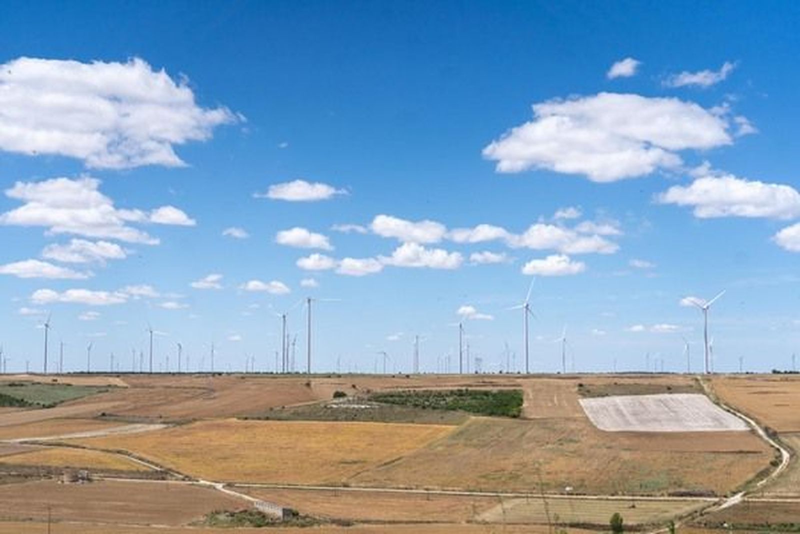 Imagen de archivo de unos molinos eólicos. ICAL