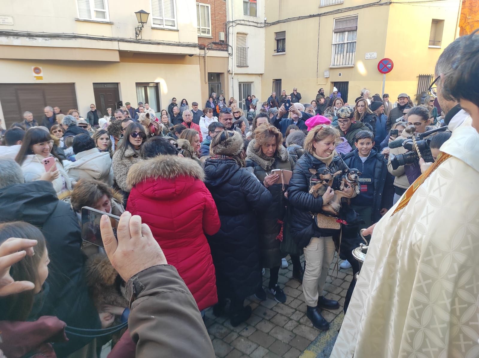 imagen-de-whatsapp-2025-01-18-a-las-17-26-12-34678d23