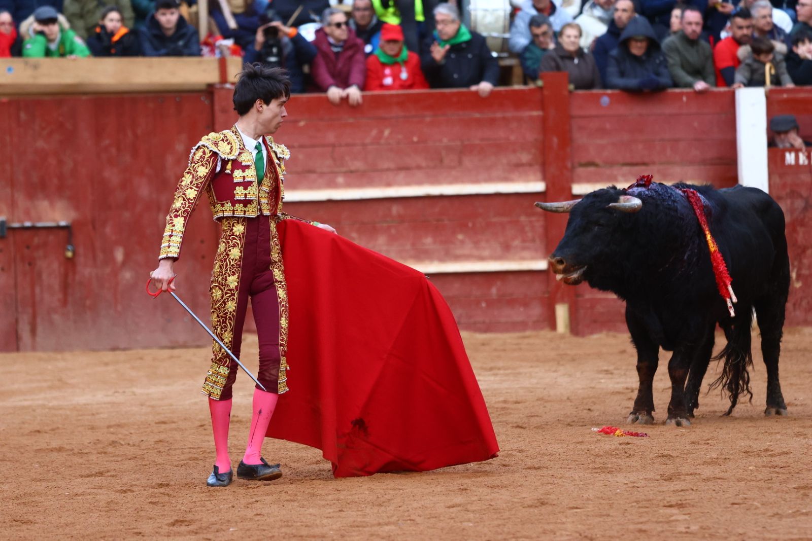 Novillada con picadores de lunes en el Carnaval del Toro de Ciudad Rodrigo 2026