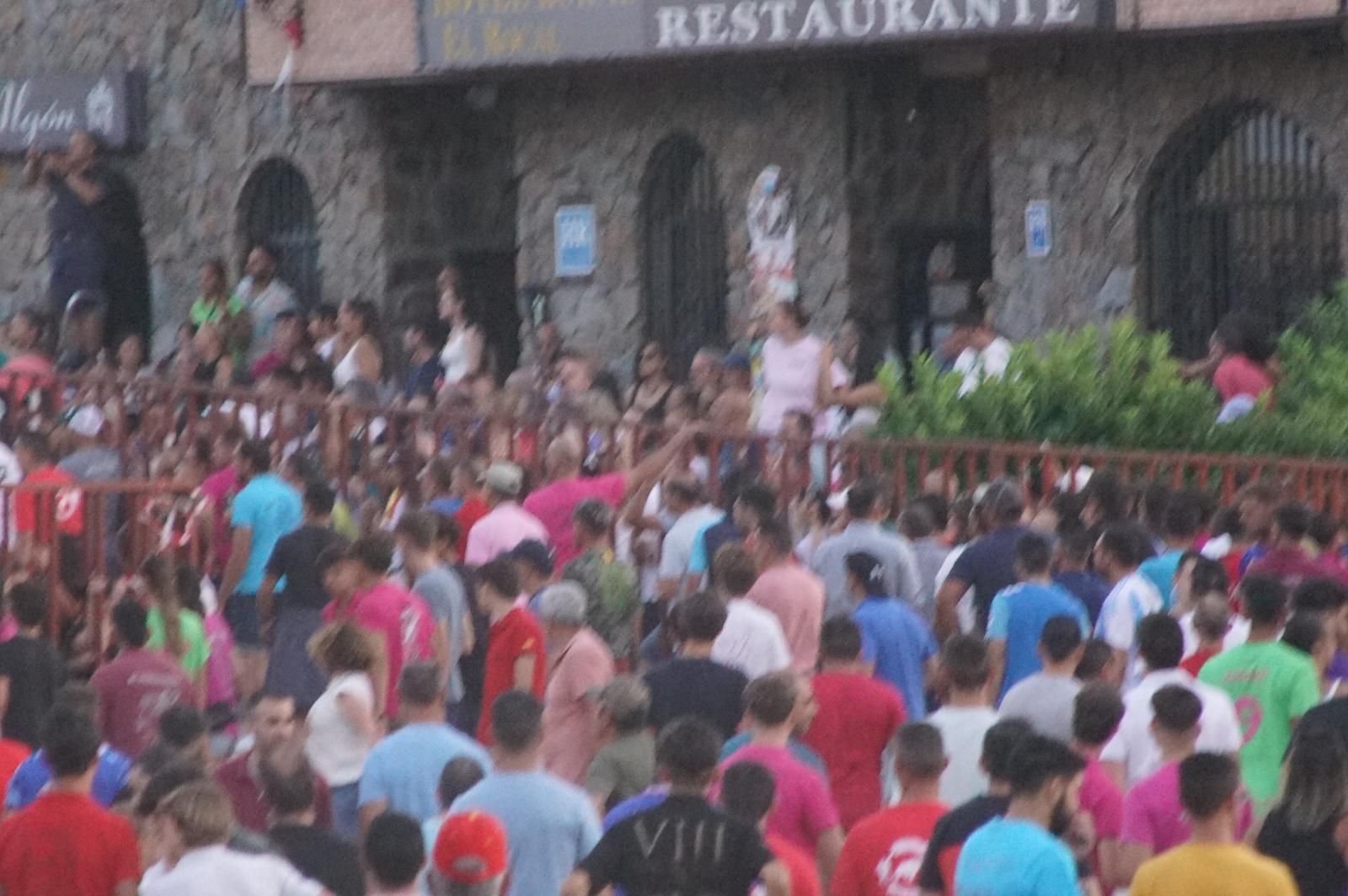 Pasión, tradición y calle: así se ha vivido en Ledesma el II Toro de Cajón