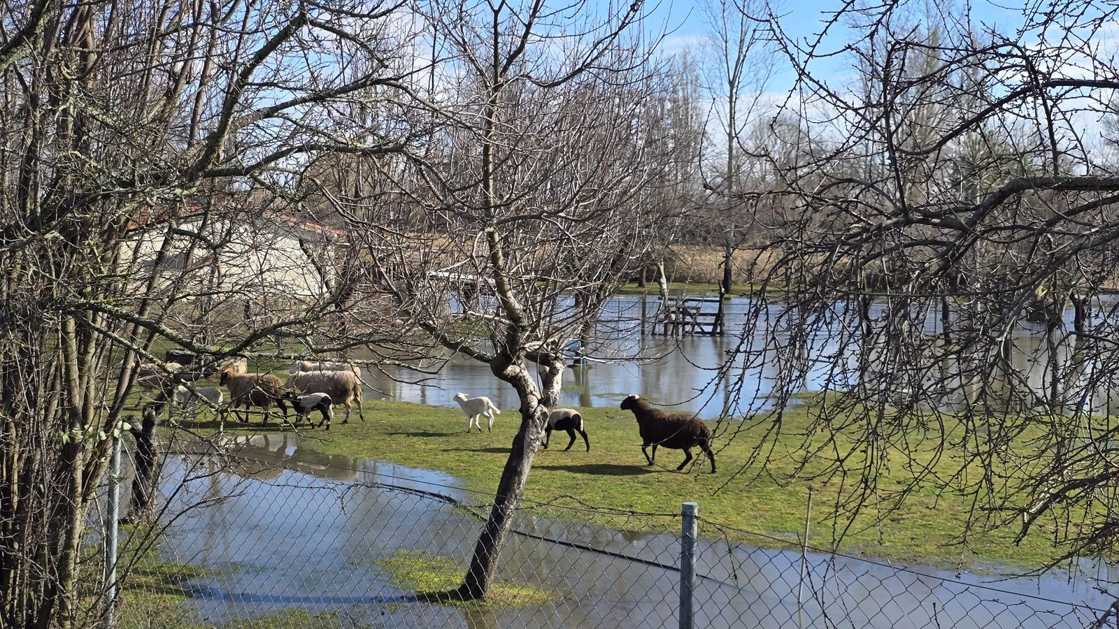 Río Almar desbordado en San Vicente  (1)