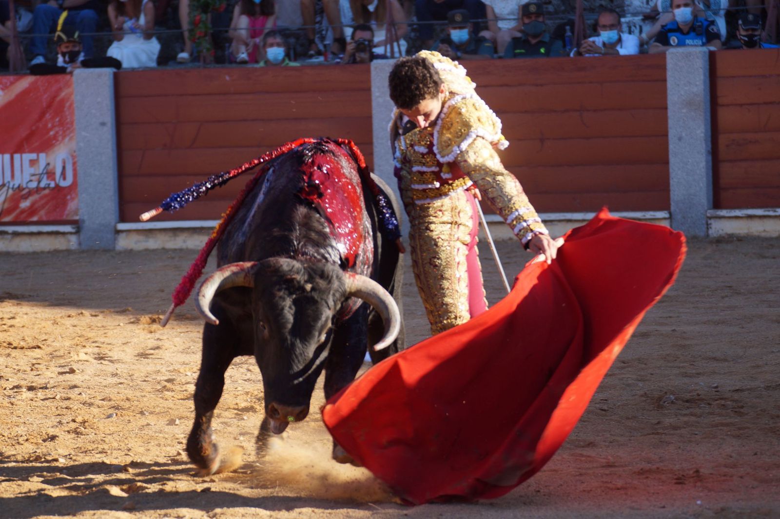 corrida-de-toros-en-guijuelo-8
