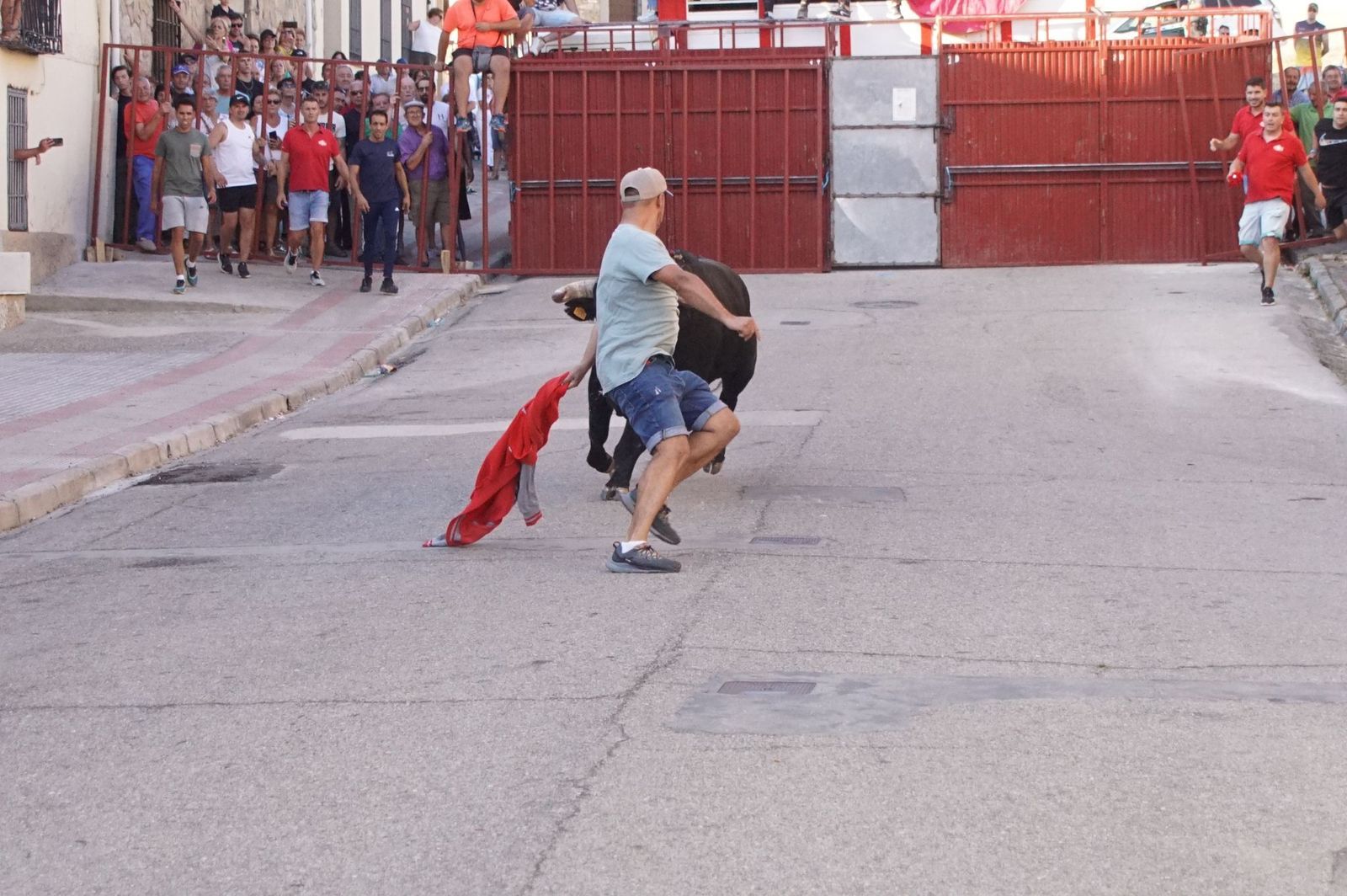 whatsapp-image-2024-08-04-at-21-09-53-1