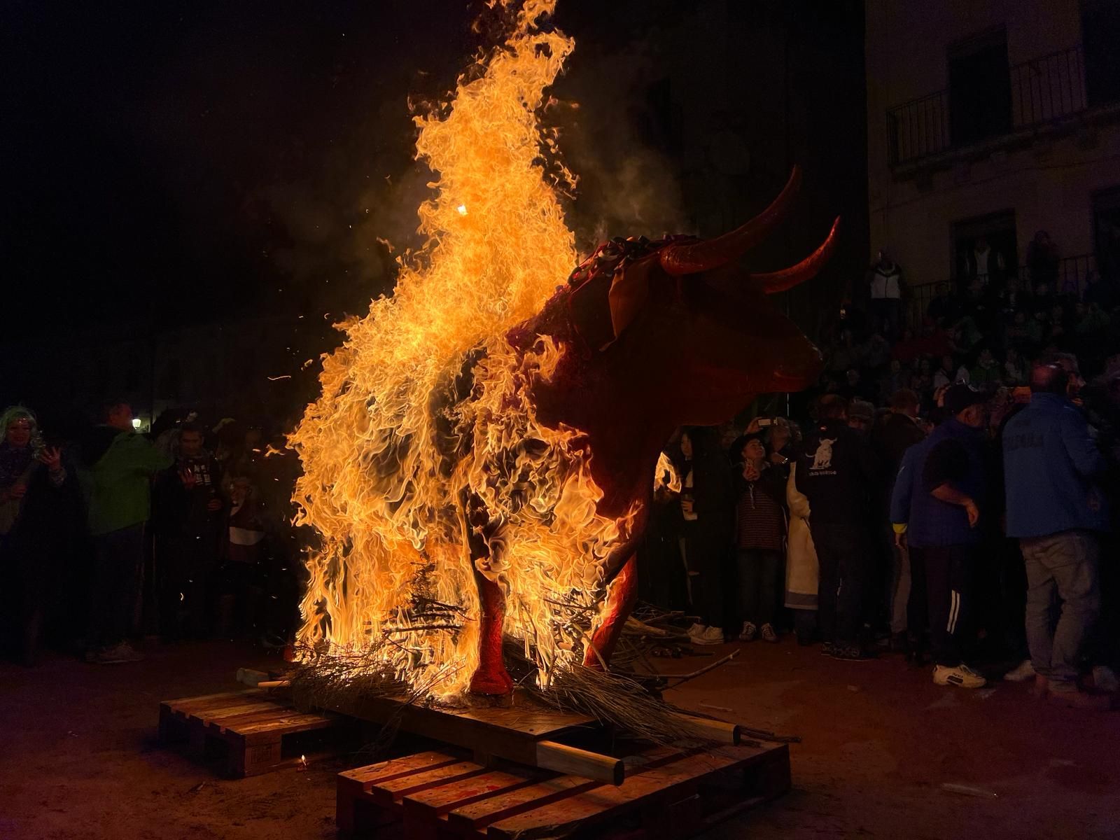 GALERÍA | Pasacalles con la quema del toro de cenizos y petición de cenizos en Ciudad Rodrigo 2024. Fotos: Verónica Tapia GALERÍA | Pasacalles con la quema del toro de cenizos y petición de cenizos en Ciudad Rodrigo 2024. Fotos: Verónica Tapia