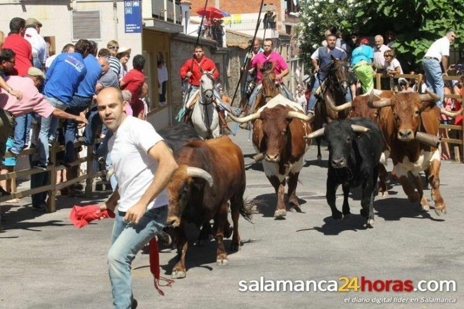 Los toros marcan el final de las fiestas del municipio