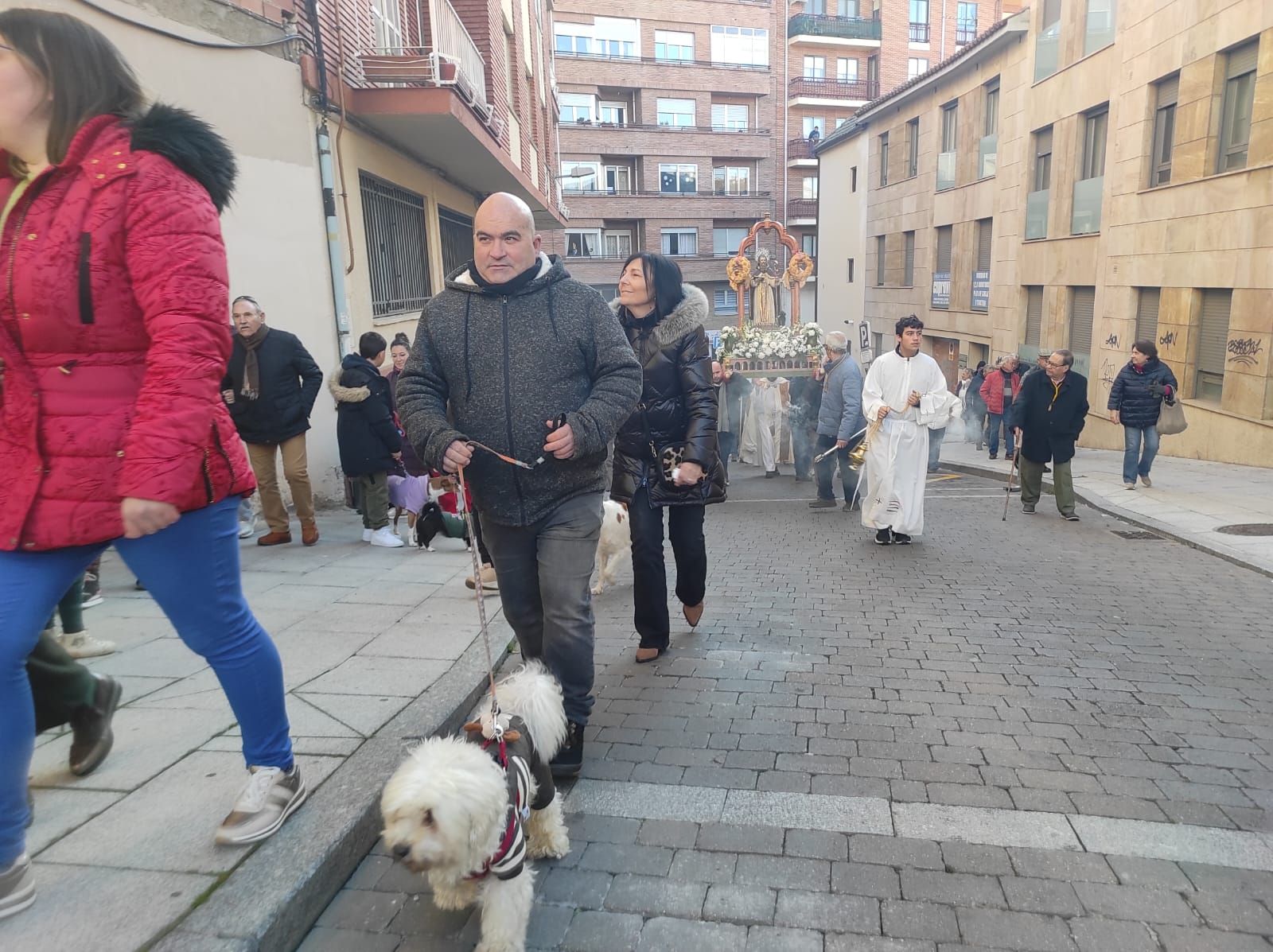 imagen-de-whatsapp-2025-01-18-a-las-17-26-27-09d6e4e4