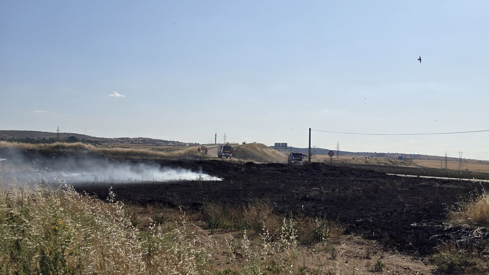 Incendio de pasto en la calle Félix Candela (Aldeatejada)