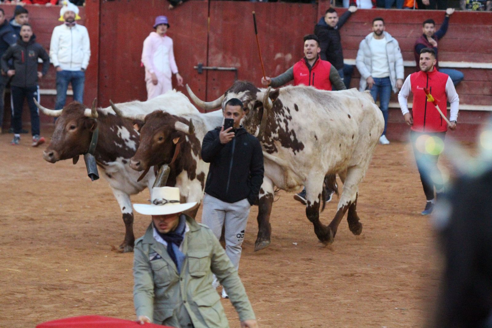 capea-de-ciudad-rodrigo-14