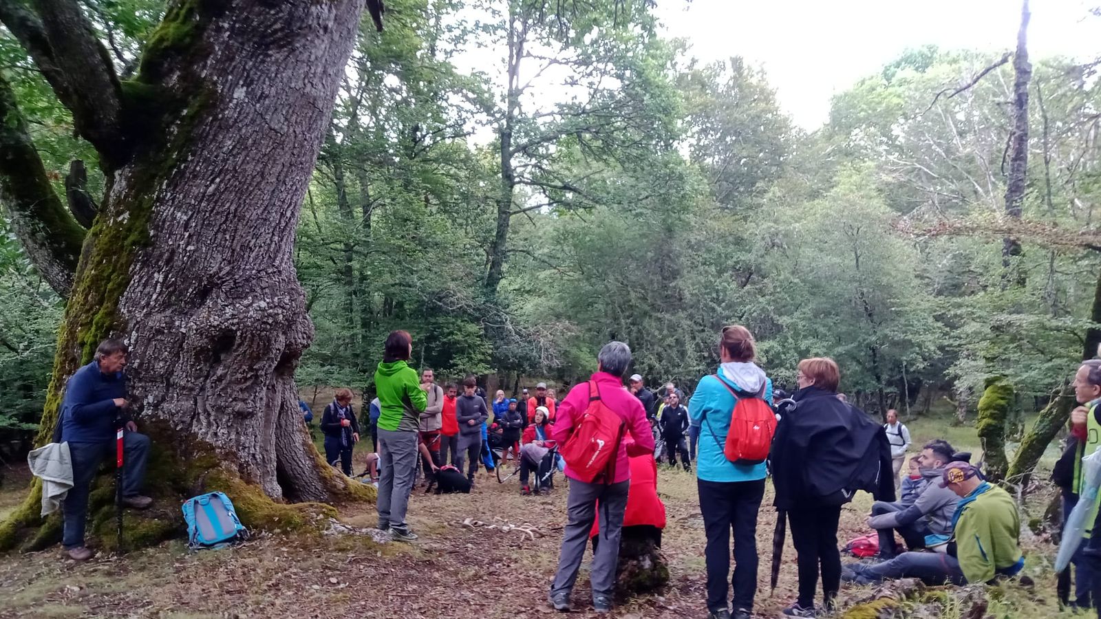 Ejemplos de accesibilidad en la Montaña Palentina