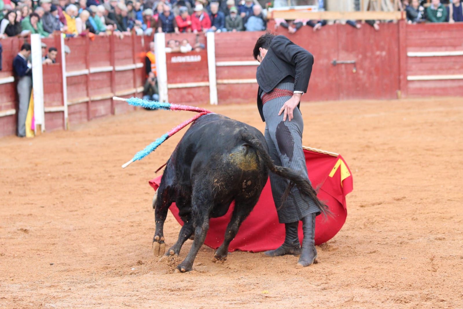 whatsapp-image-2023-02-21-at-17-38-36