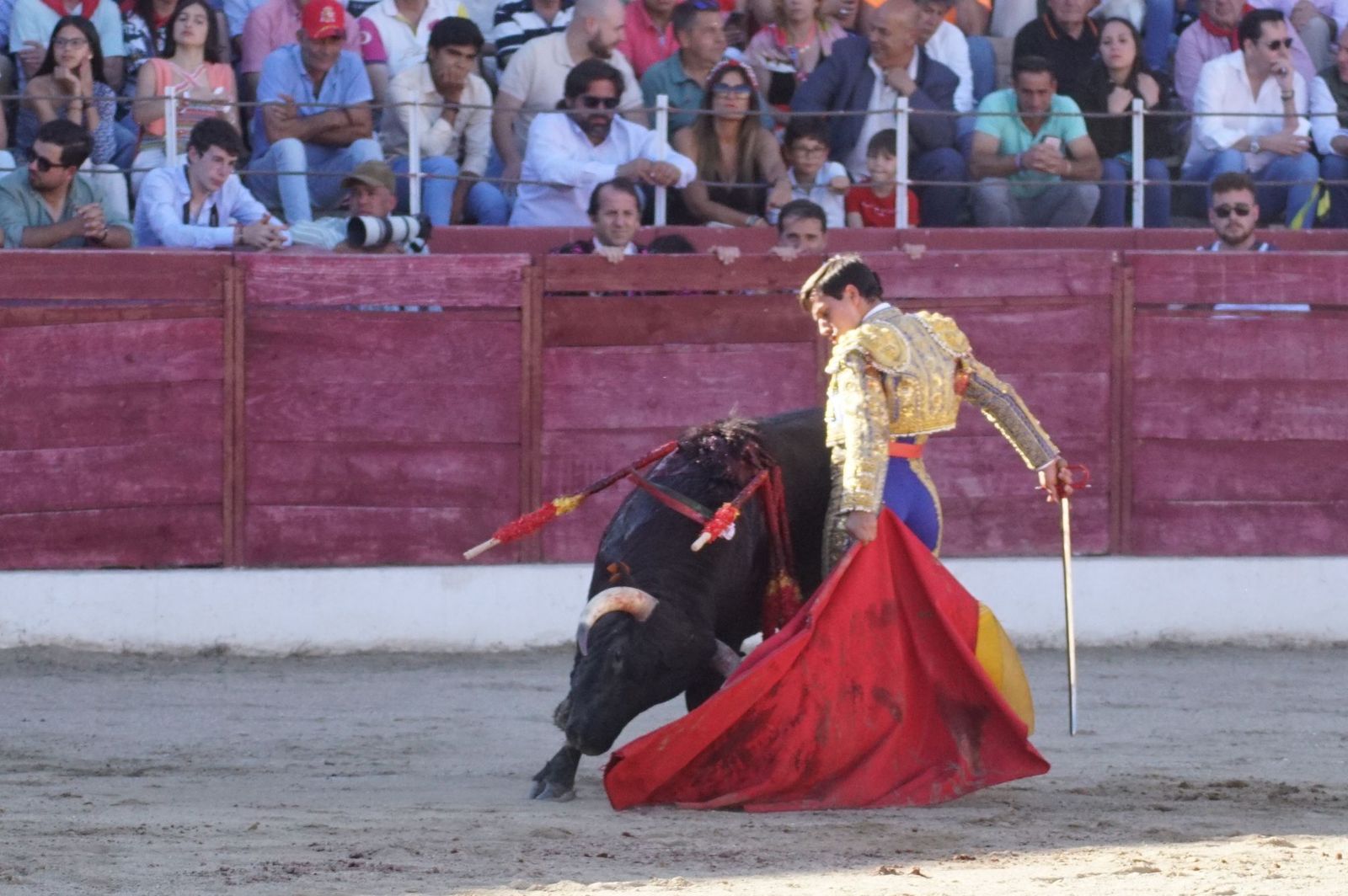 whatsapp-image-2024-06-02-at-22-12-03-1