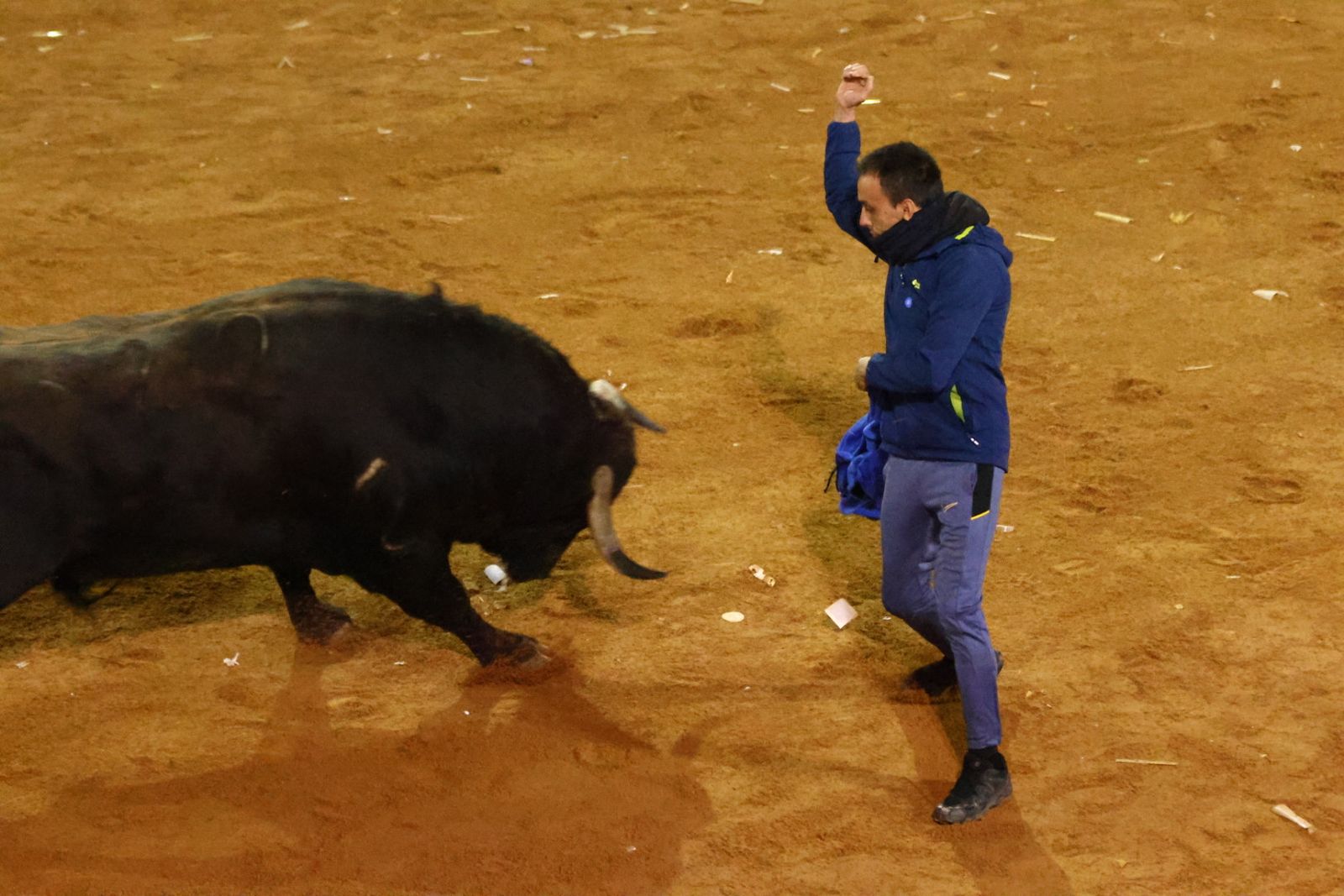 Capea nocturna de lunes en el Carnaval del Toro 2026