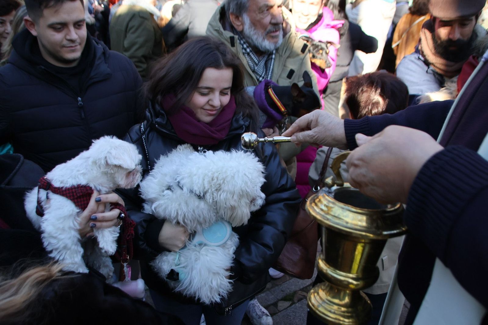 San Antón en el Campo de San Francisco 2025. Fotos Andrea M.