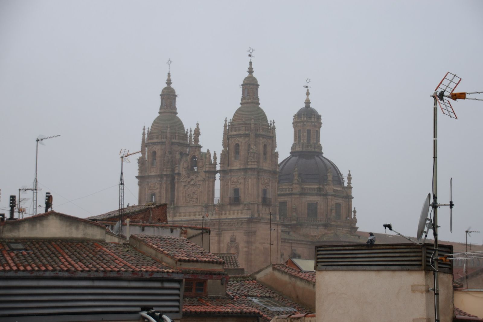 Visita a la Iglesia de San Martín