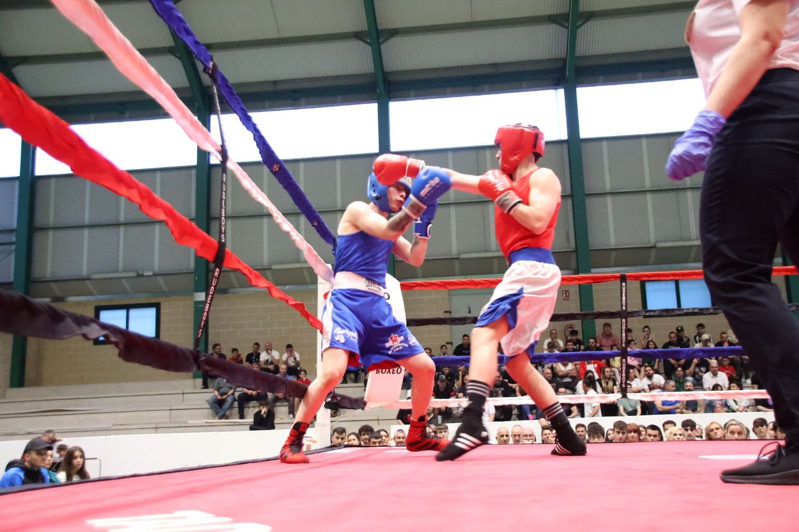 20240413200151-img-8672