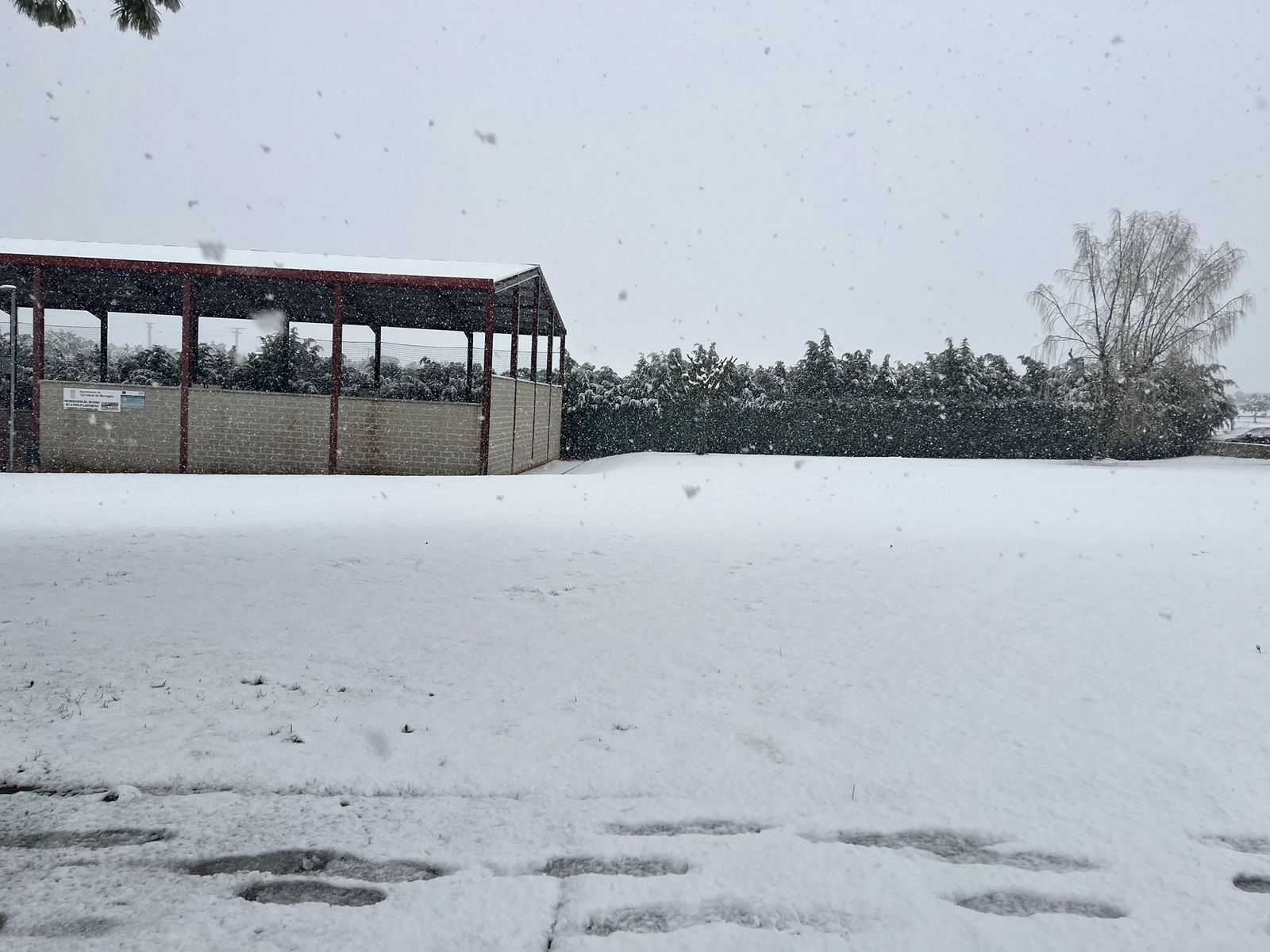 Nevada en Salamanca 28 de enero 2026