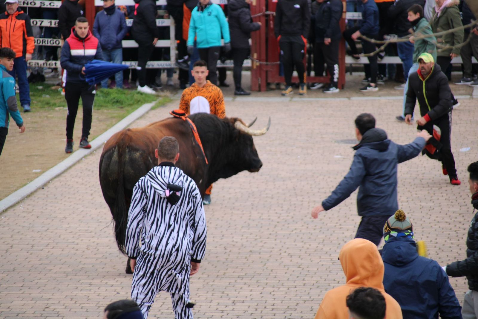 whatsapp-image-2025-03-01-at-11-56-37