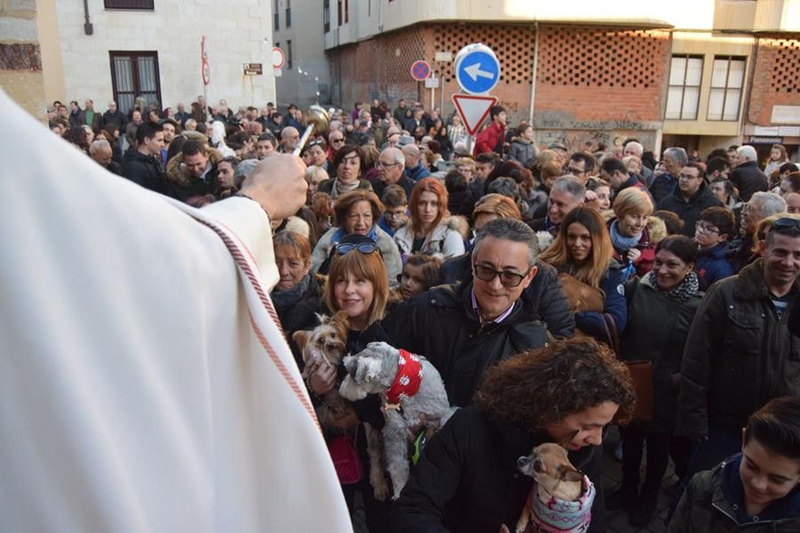 Bendición San Antón 2018 (123)