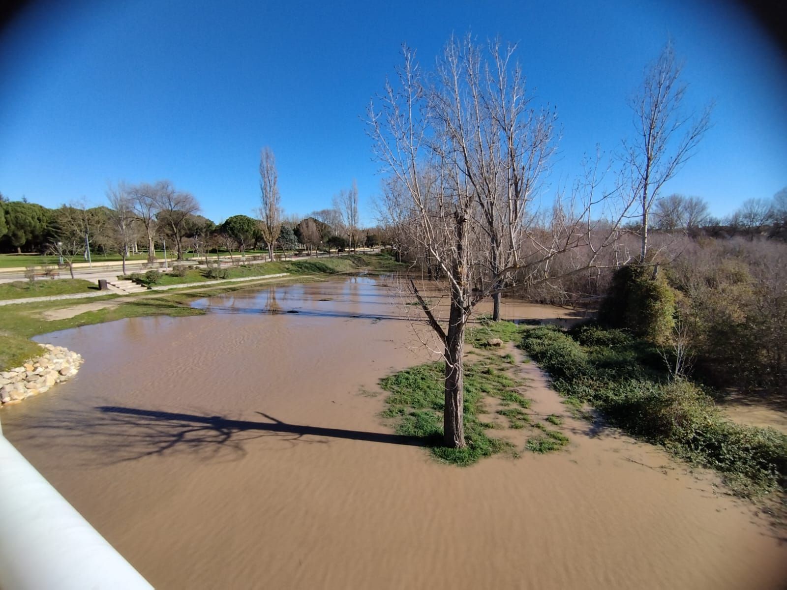 whatsapp-image-2024-01-20-at-13-52-04-1